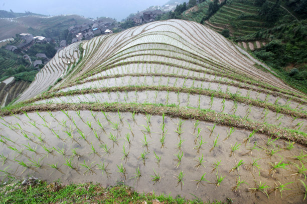 龙胜壮族