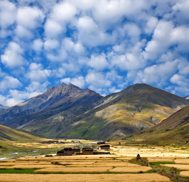 藏族牧场