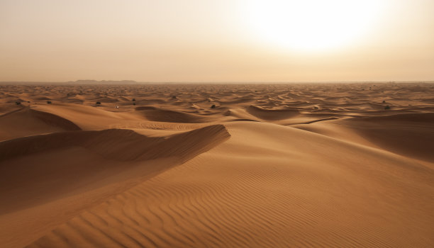 沙丘沙漠