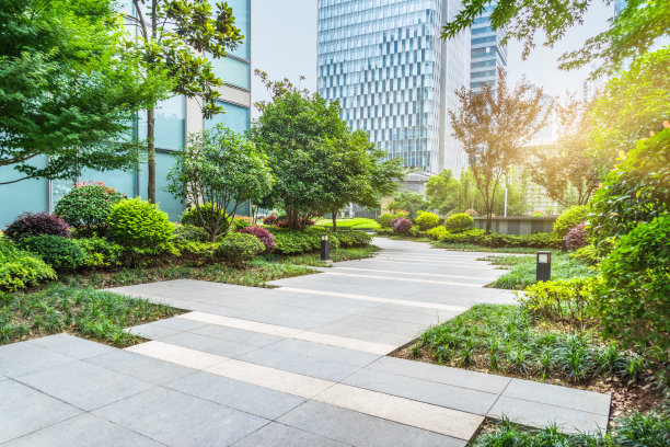 上海城市公园风景