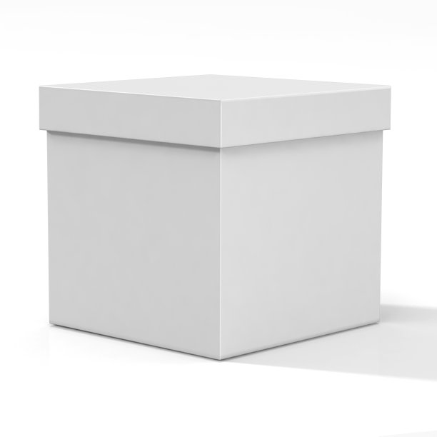 纸盒模型