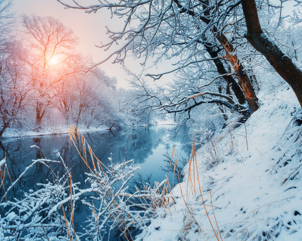 雪在枝头