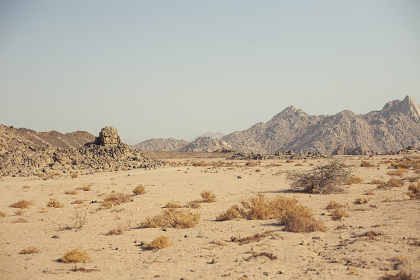 沙漠荒漠