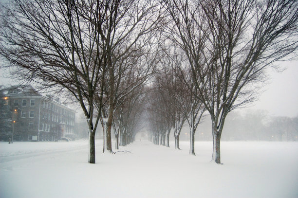 雪地校园