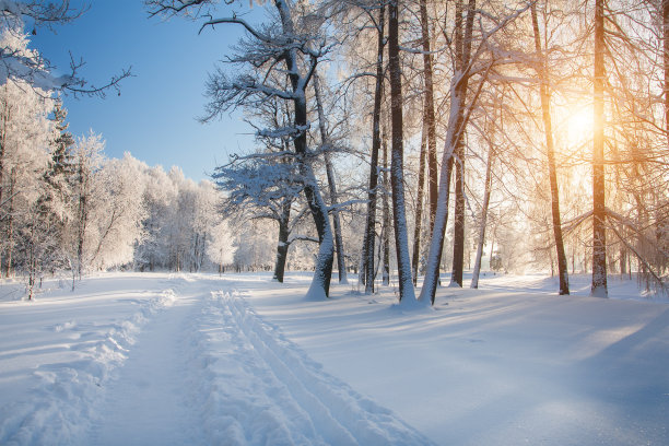 暴雪冬天