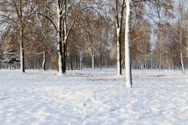 狂风暴雪