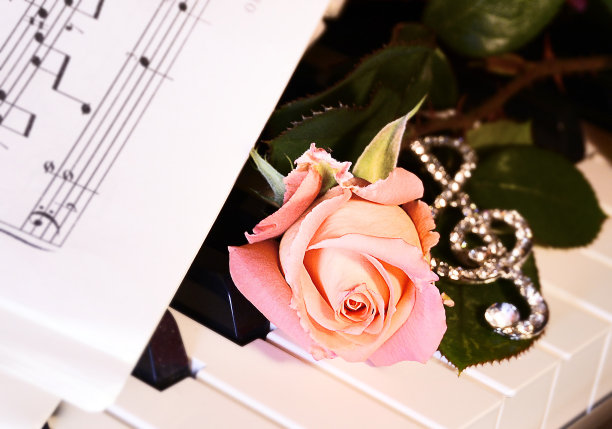 玫瑰与钢琴