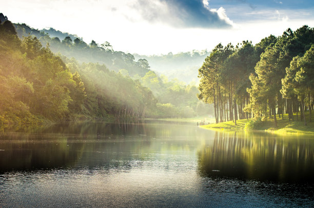 湖,松树,水,天空,早晨,旅行者,夏天,松科,光,清新 湖,松树,水,天空,早晨,旅行者,夏天,松科,光,清新