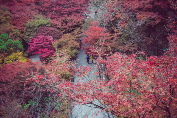 清水寺