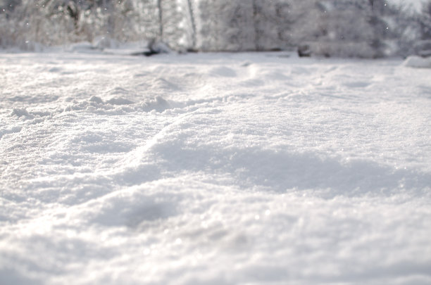 雪地特写