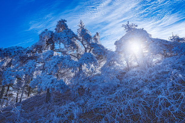 冬日黄山