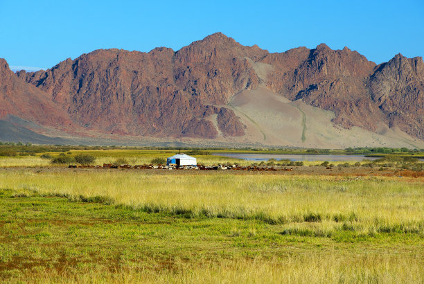 大草原 蒙古包