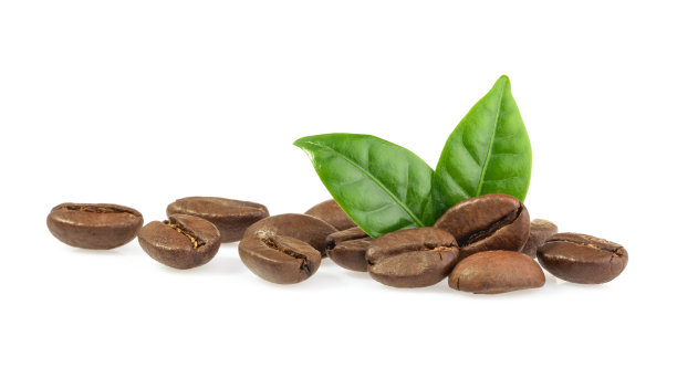 咖啡豆和绿叶