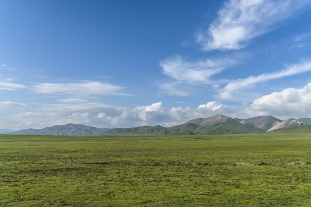 高原平原