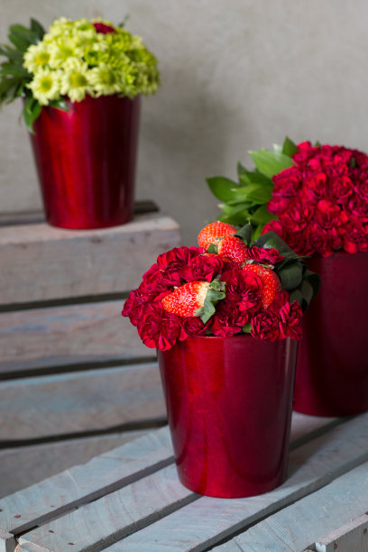 花卉商,季节,红色