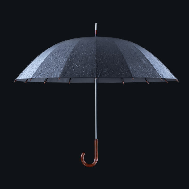 保护伞