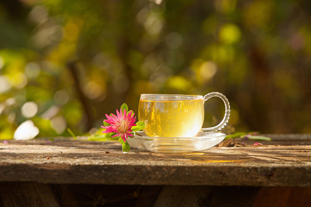 荷花茶杯