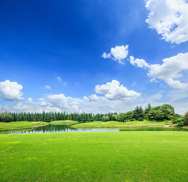 天空,夏天,草,绿色,田地,蓝色,白昼,草坪,明亮