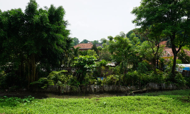河道绿化,园林景观