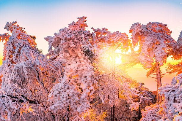 黄山人家