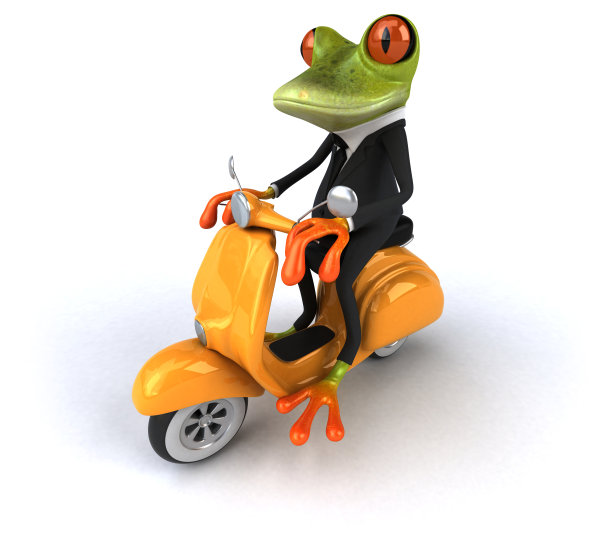 摩托车,水平画幅,青蛙