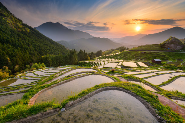 乡村风景