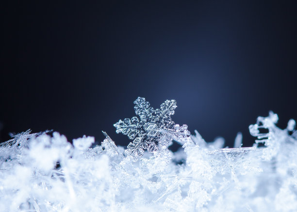 雪地特写