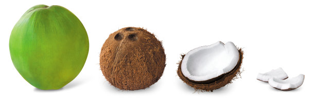 剥皮椰子椰子特写