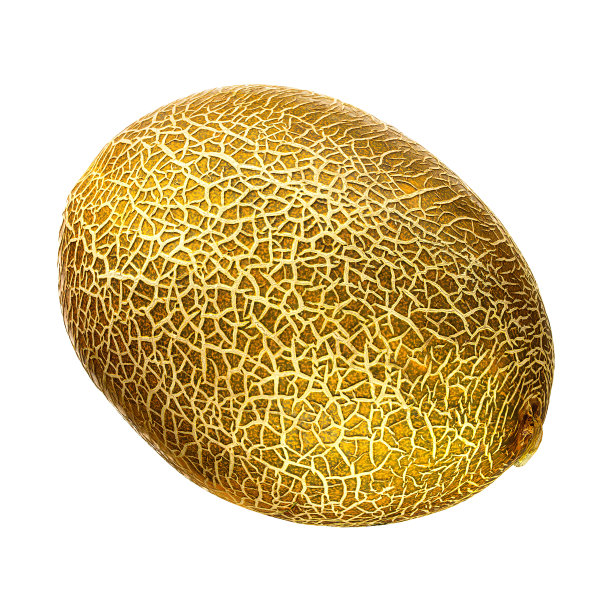 金色哈密瓜