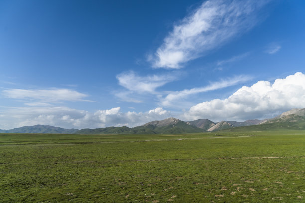 高原平原