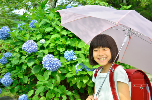 绣球花和女孩