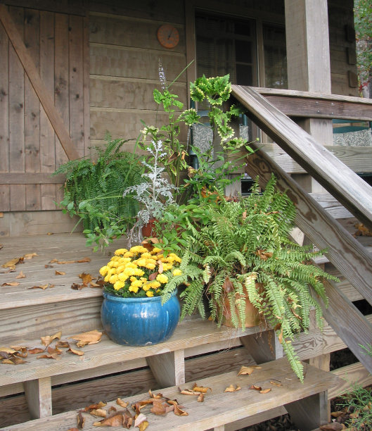 蓝色集装箱小屋