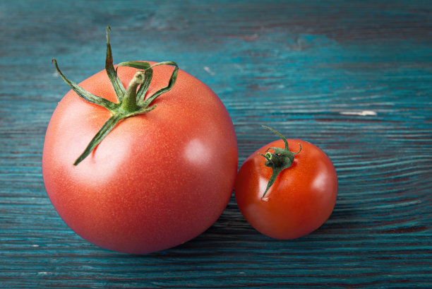大蕃茄小番茄
