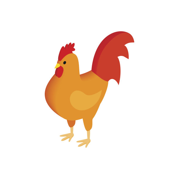 chicken