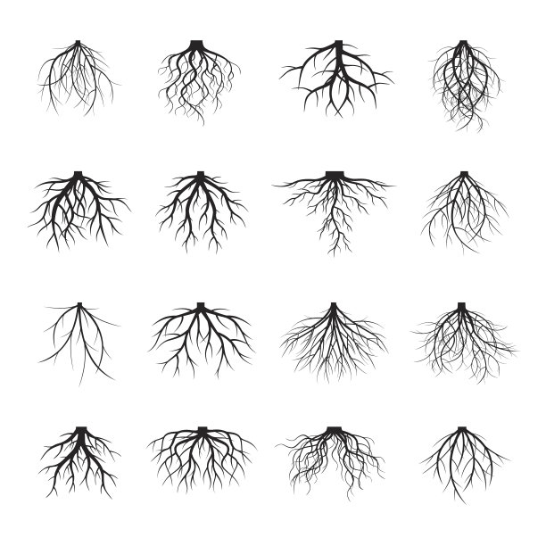 树枝 枝干 矢量图