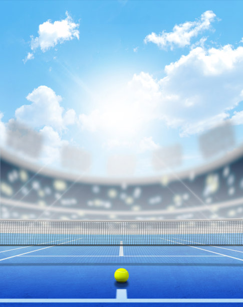 网球日