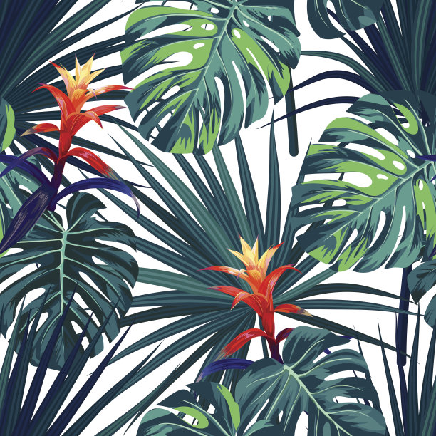 热带植物图