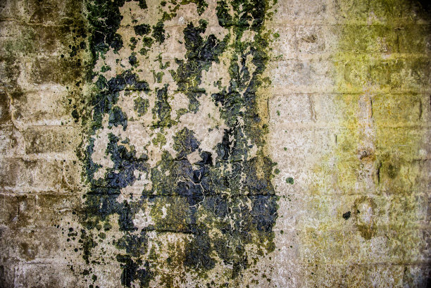苔藓斑驳潮湿墙面