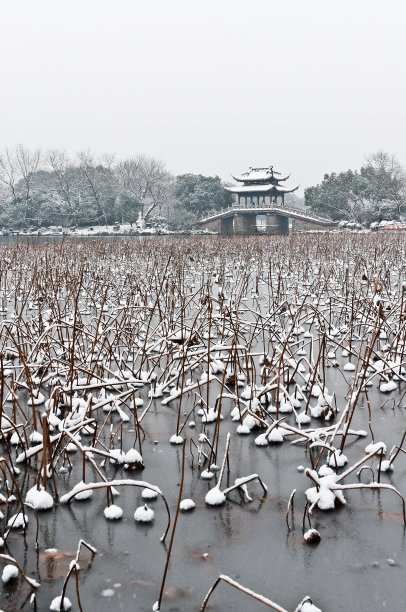 西湖雪景