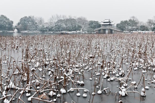 杭州下雪