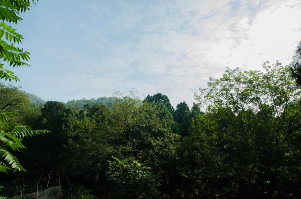 泰山背景图