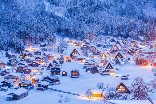 乡村雪景