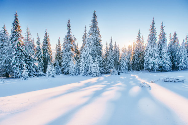 冰面雪景