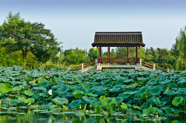 杭州湿地生态公园