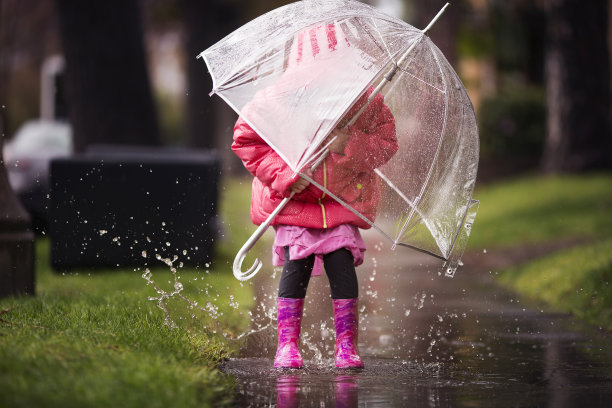 春雨