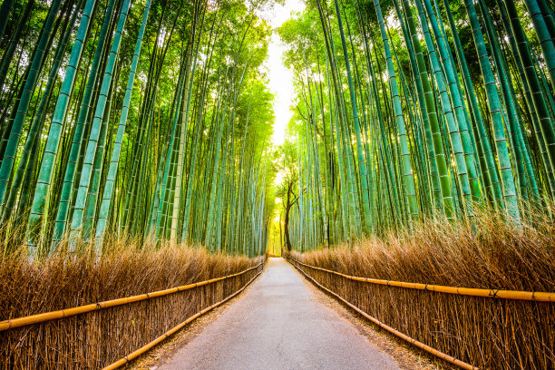 京都府