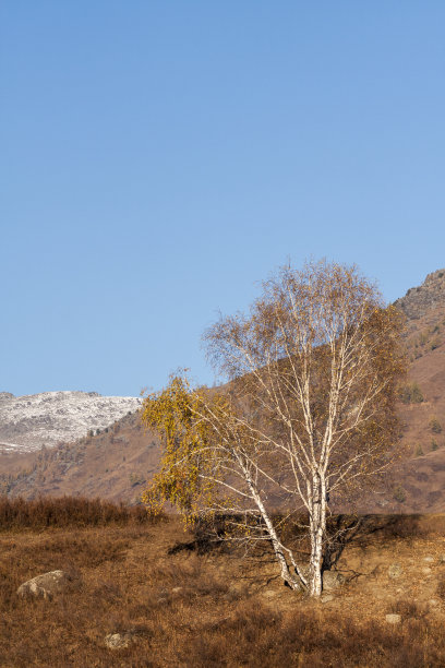 雪山群