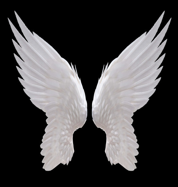 天使之翼