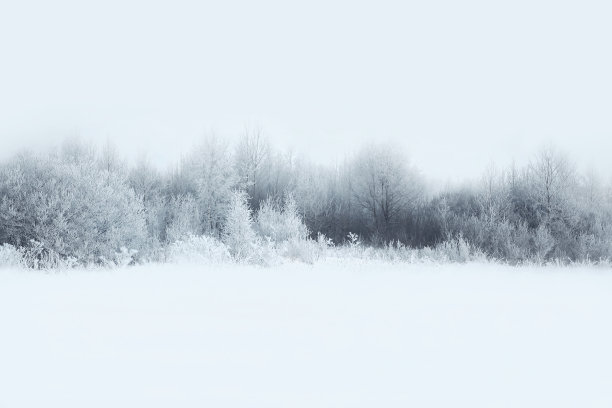 冬天冰天雪地背景