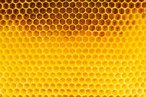 蜜蜂箱